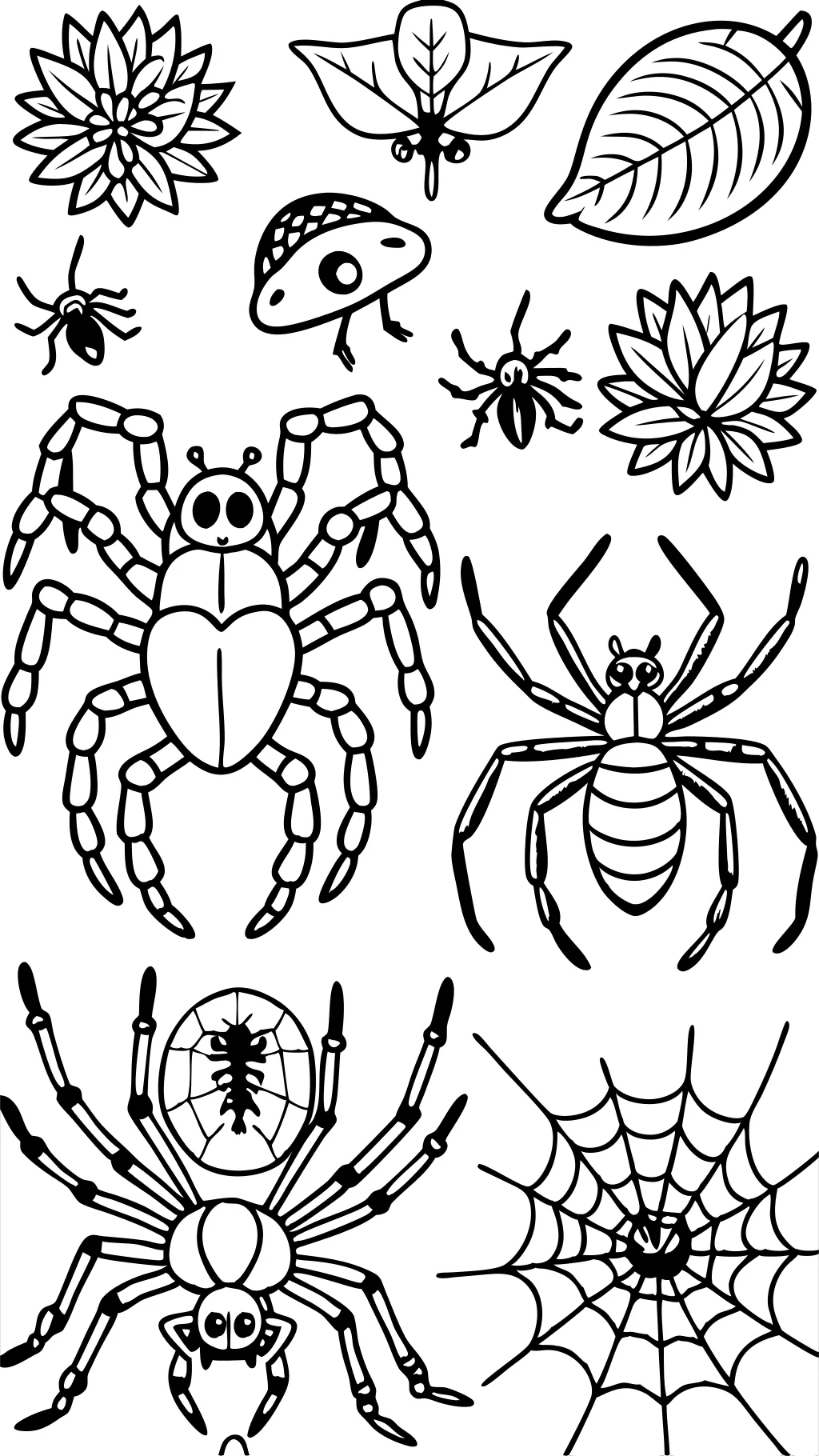 coloring pages of spiders